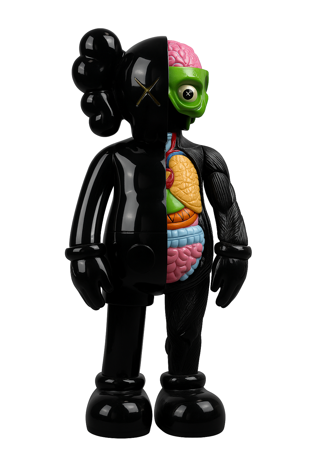Kaws Anatomy